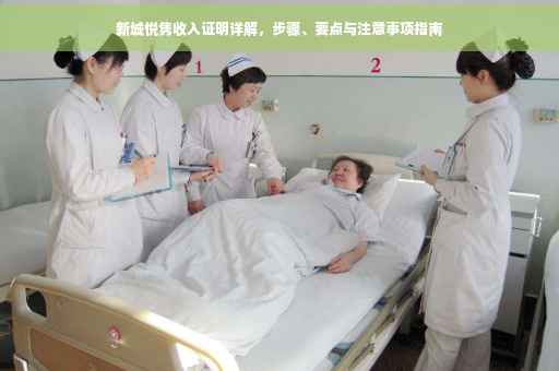 新城悦隽收入证明详解，步骤、要点与注意事项指南