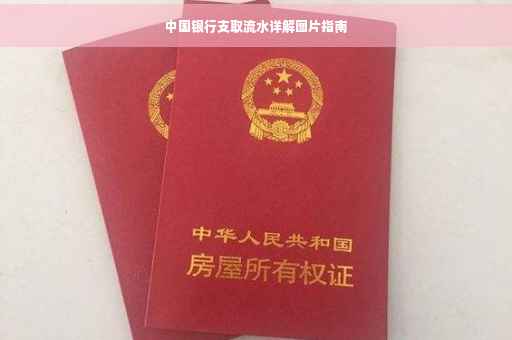 中国银行支取流水详解图片指南