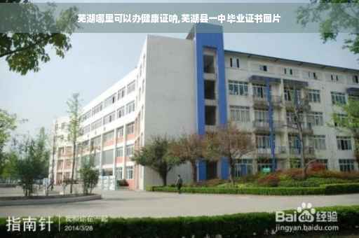 芜湖哪里可以办健康证呐,芜湖县一中毕业证书图片