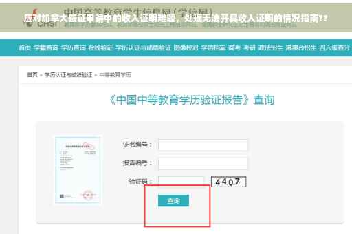 应对加拿大签证申请中的收入证明难题，处理无法开具收入证明的情况指南??
