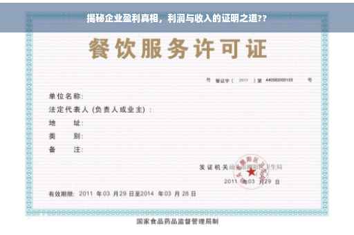 揭秘企业盈利真相，利润与收入的证明之道??
