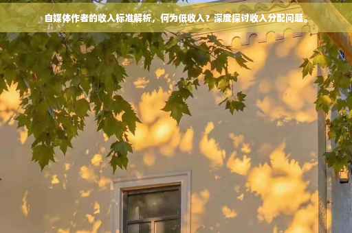 自媒体作者的收入标准解析，何为低收入？深度探讨收入分配问题。