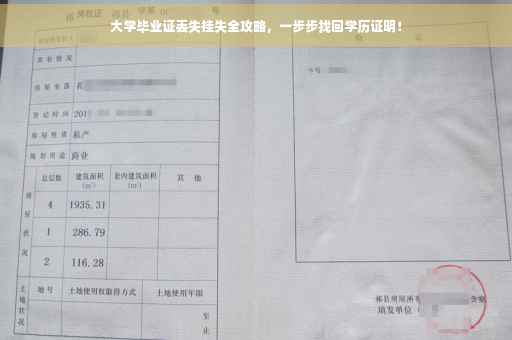 大学毕业证丢失挂失全攻略，一步步找回学历证明！