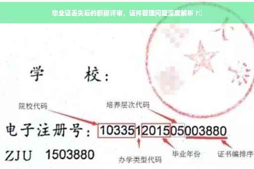 毕业证丢失后的职称评审，证件管理问题深度解析 ?✨