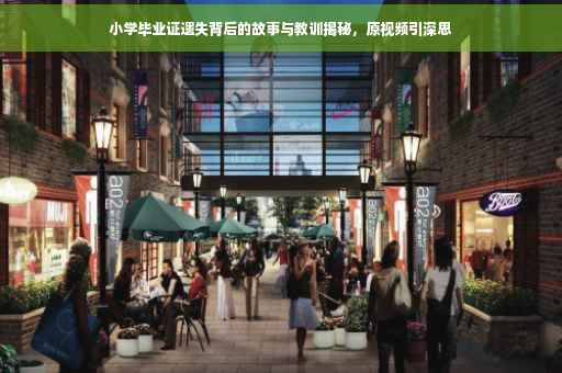 小学毕业证遗失背后的故事与教训揭秘，原视频引深思