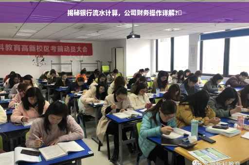 揭秘银行流水计算，公司财务操作详解?✨