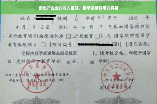 房地产企业的收入证明，揭示繁荣背后的真相