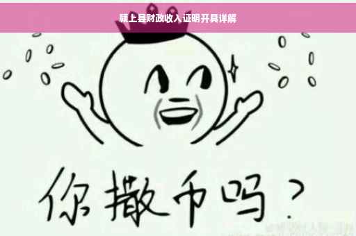 颍上县财政收入证明开具详解