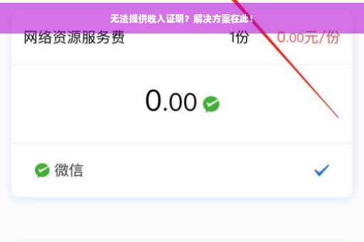 无法提供收入证明？解决方案在此！