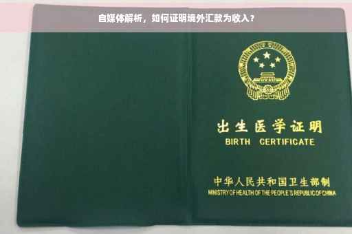 自媒体解析，如何证明境外汇款为收入？