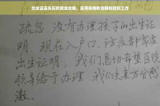 毕业证丢失后的就业攻略，实用指南助你顺利找到工作