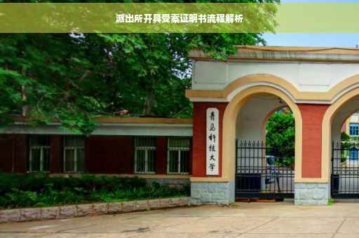 派出所开具受案证明书流程解析