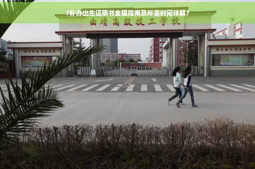 ?补办出生证明书全程指南及所需时间详解?