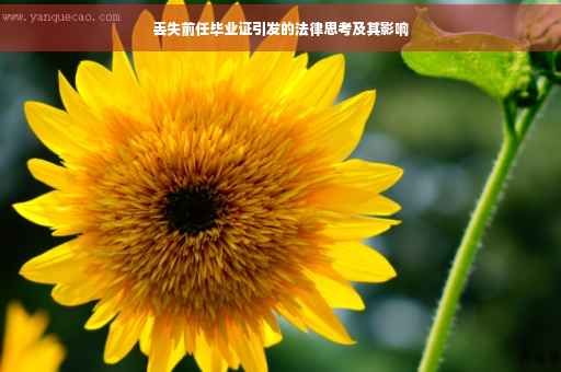 丢失前任毕业证引发的法律思考及其影响 丢失前任毕业证引发的法律思考及其影响