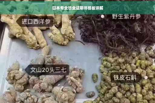 日本专业毕业证明书模板详解