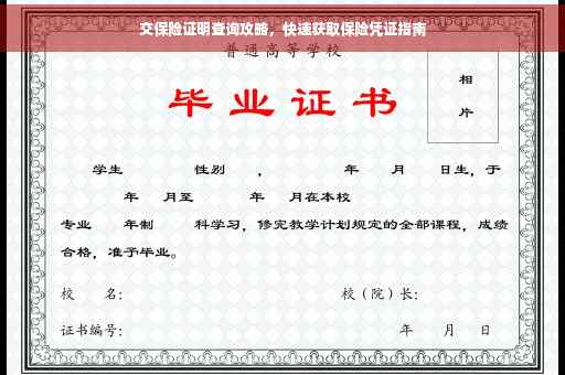交保险证明查询攻略，快速获取保险凭证指南
