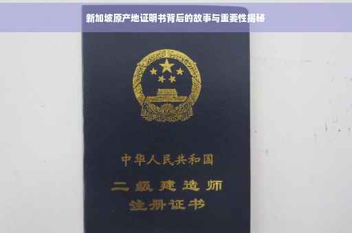 新加坡原产地证明书背后的故事与重要性揭秘