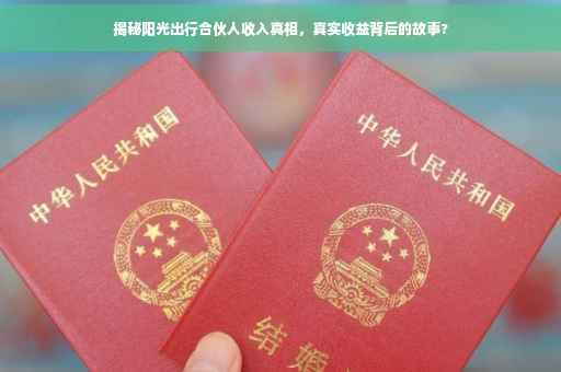 揭秘阳光出行合伙人收入真相，真实收益背后的故事?