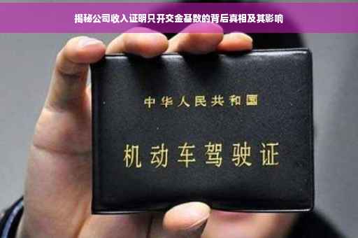 揭秘公司收入证明只开交金基数的背后真相及其影响