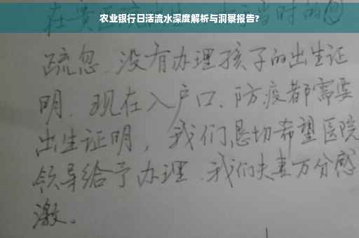 农业银行日活流水深度解析与洞察报告?