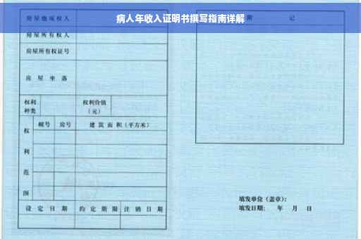 病人年收入证明书撰写指南详解