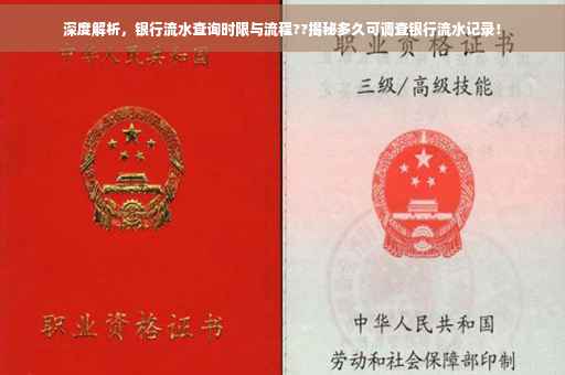 深度解析，银行流水查询时限与流程??揭秘多久可调查银行流水记录！