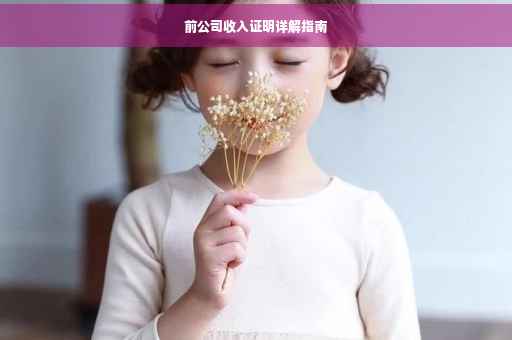 前公司收入证明详解指南