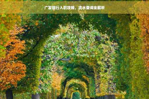 广发银行入职攻略，流水查询全解析