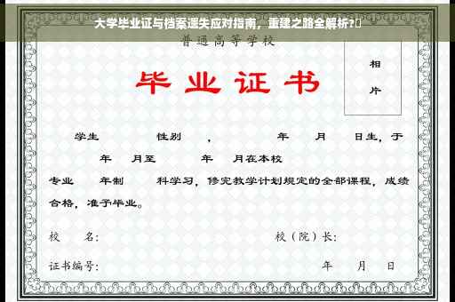 大学毕业证与档案遗失应对指南，重建之路全解析?✨
