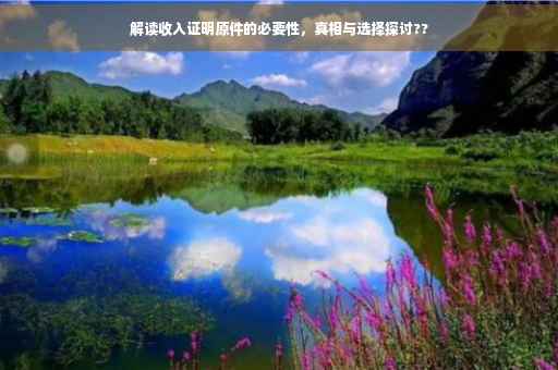 解读收入证明原件的必要性，真相与选择探讨??