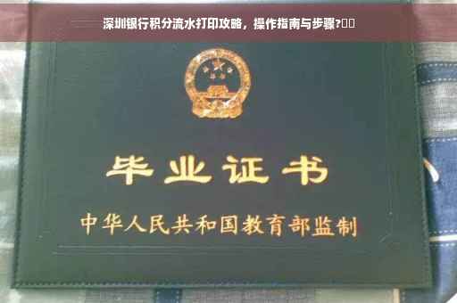 深圳银行积分流水打印攻略，操作指南与步骤?⚡️