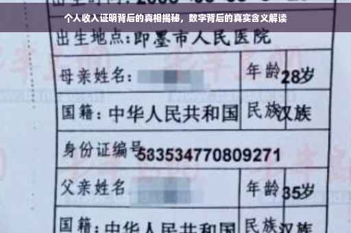 个人收入证明背后的真相揭秘，数字背后的真实含义解读