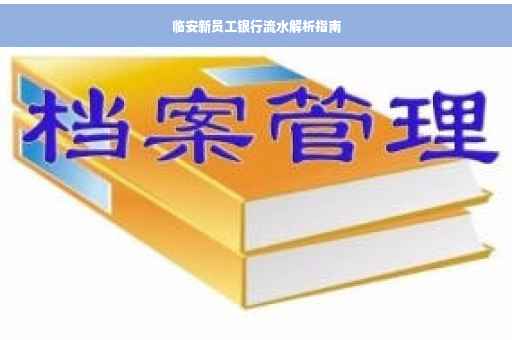 临安新员工银行流水解析指南