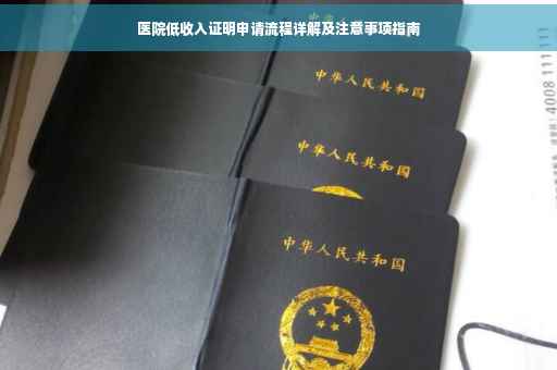 医院低收入证明申请流程详解及注意事项指南