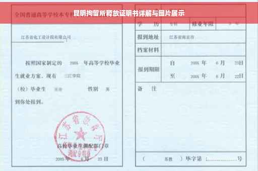 昆明拘留所释放证明书详解与图片展示