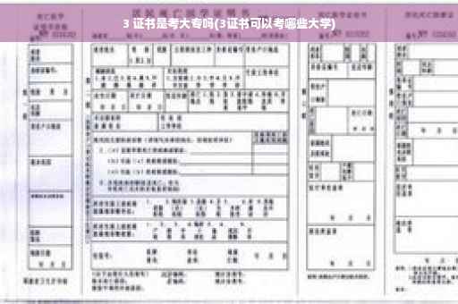 3 证书是考大专吗(3证书可以考哪些大学)
