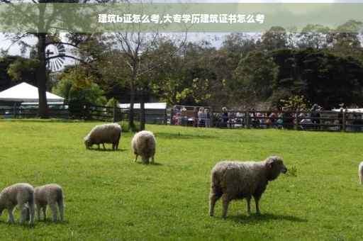 建筑b证怎么考,大专学历建筑证书怎么考