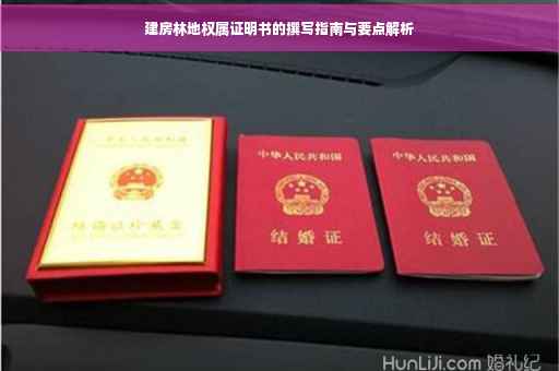 建房林地权属证明书的撰写指南与要点解析