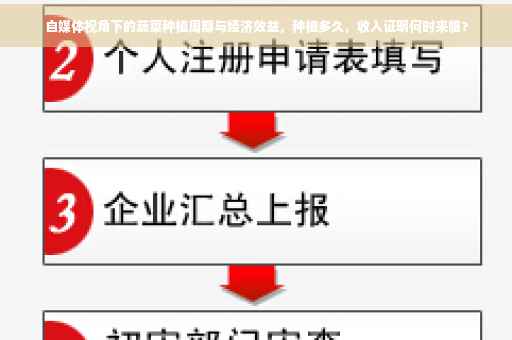 自媒体视角下的蔬菜种植周期与经济效益，种植多久，收入证明何时来临？