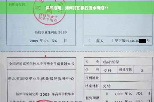 详尽指南，如何打印银行流水明细??