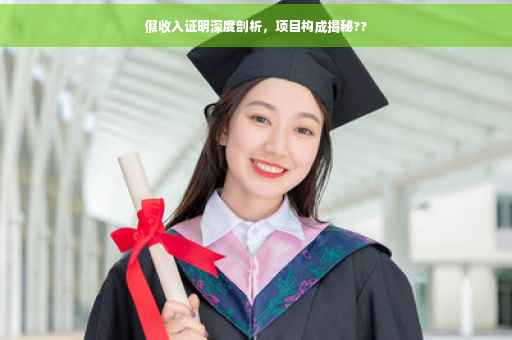 假收入证明深度剖析，项目构成揭秘??
