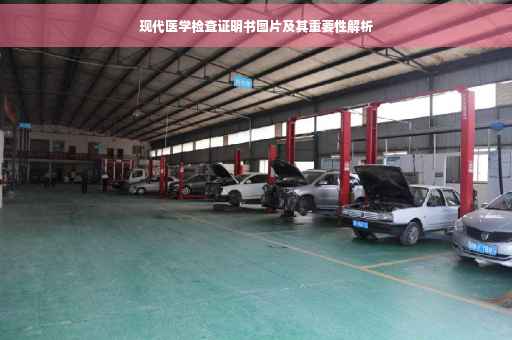 现代医学检查证明书图片及其重要性解析