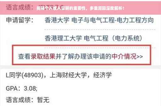 揭秘个人收入证明的重要性，多重原因深度解析！