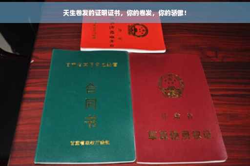 天生卷发的证明证书，你的卷发，你的骄傲！