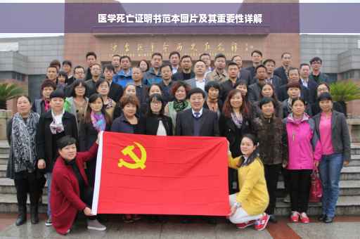 医学死亡证明书范本图片及其重要性详解