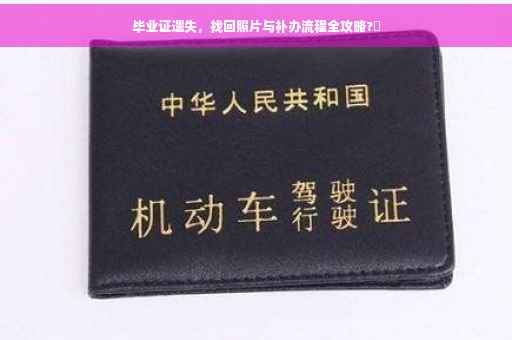 毕业证遗失，找回照片与补办流程全攻略?✨