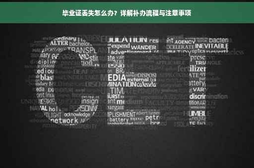 毕业证丢失怎么办？详解补办流程与注意事项