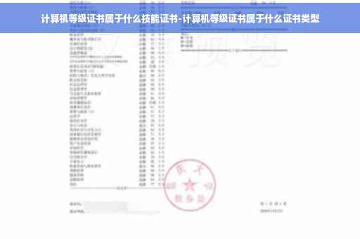 计算机等级证书属于什么技能证书-计算机等级证书属于什么证书类型