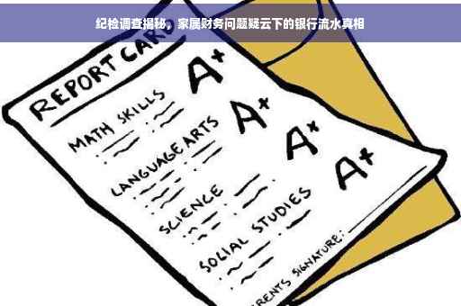 纪检调查揭秘，家属财务问题疑云下的银行流水真相