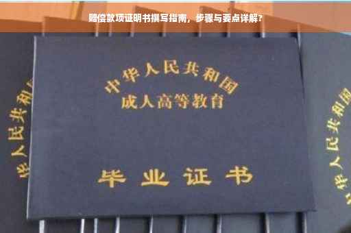 赔偿款项证明书撰写指南，步骤与要点详解?